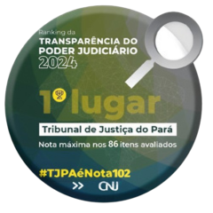 Imagem do selo de Transparência Judiciária - 1º lugar